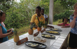 Croydon Plantation Tour from Montego Bay