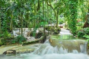 Enchanted Garden Tour Ocho Rios.