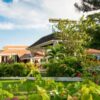 Hibiscus Lodge Hotel Transportation from Montego Bay Airport