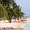 James Bond, Shopping and School Tour Ocho Rios.