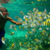 Snorkeling from RIU Troical Montego Bay Hotel