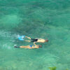 Snorkeling from Rose Hall Hotels, Resorts.