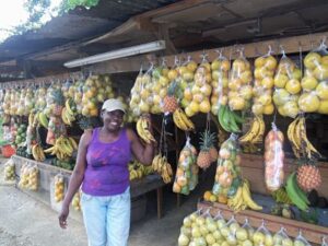 Marvelous Mandeville Day Tour from Negril.