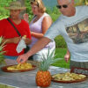 Croydon Plantation Tour from Grand Palladium