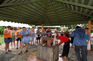 Appleton Estate Rum Tour from Montego Bay.